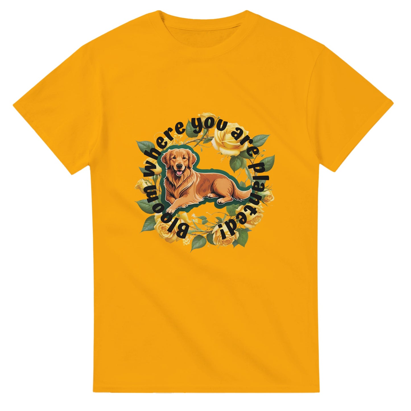 0af9e6e2-51df-41aa-b8c5-c3fabc77fe40