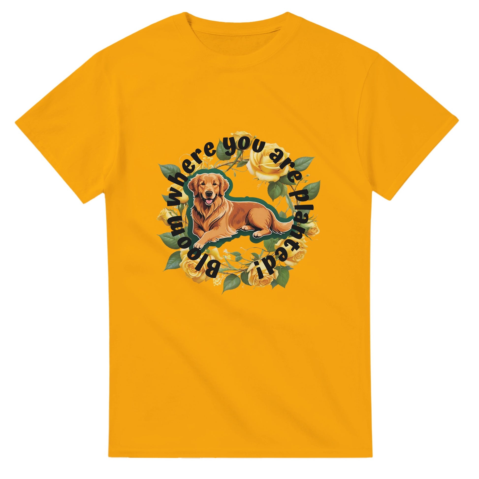 15ffa66b-c14c-4f02-9e4f-b526031288e5