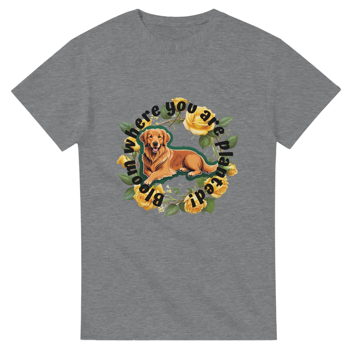 65f1ca49-1afc-45ec-a8ad-a1bc1bd844f1